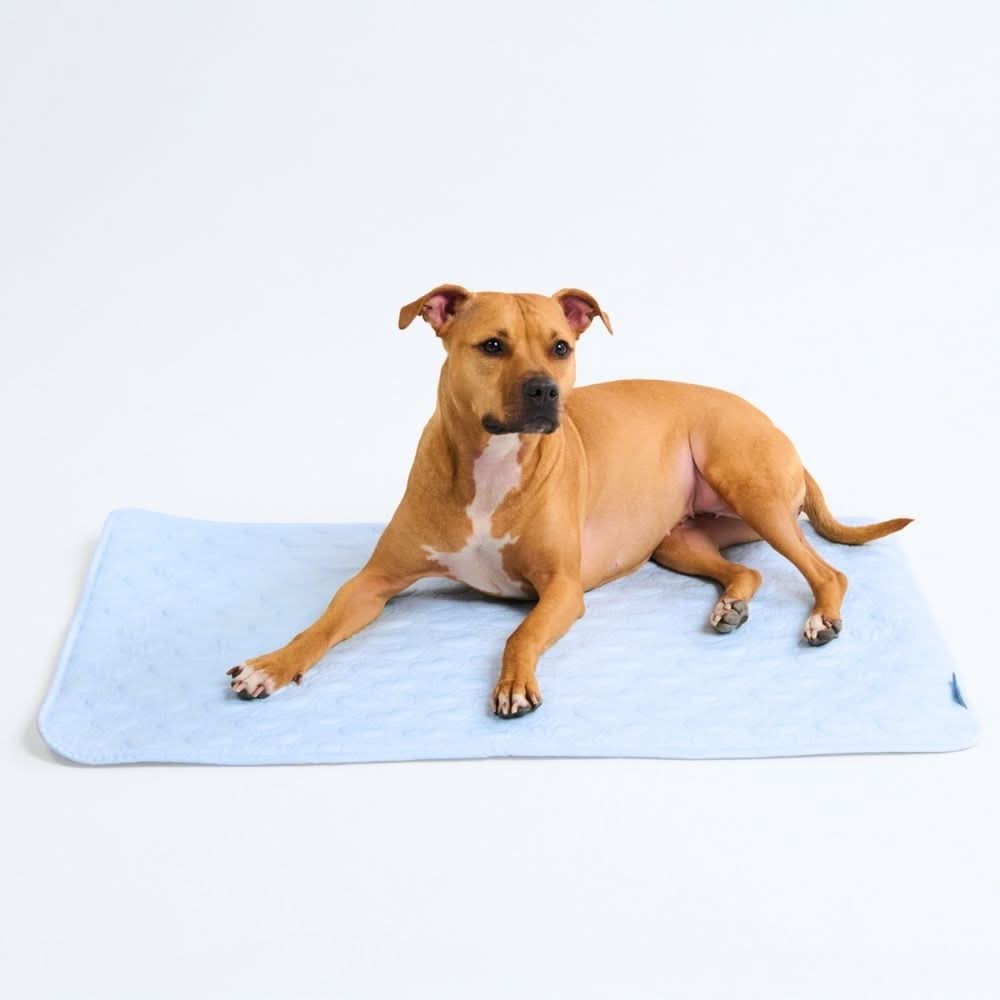 FrostCore™ Koelmat voor Honden