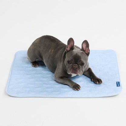 FrostCore™ Koelmat voor Honden