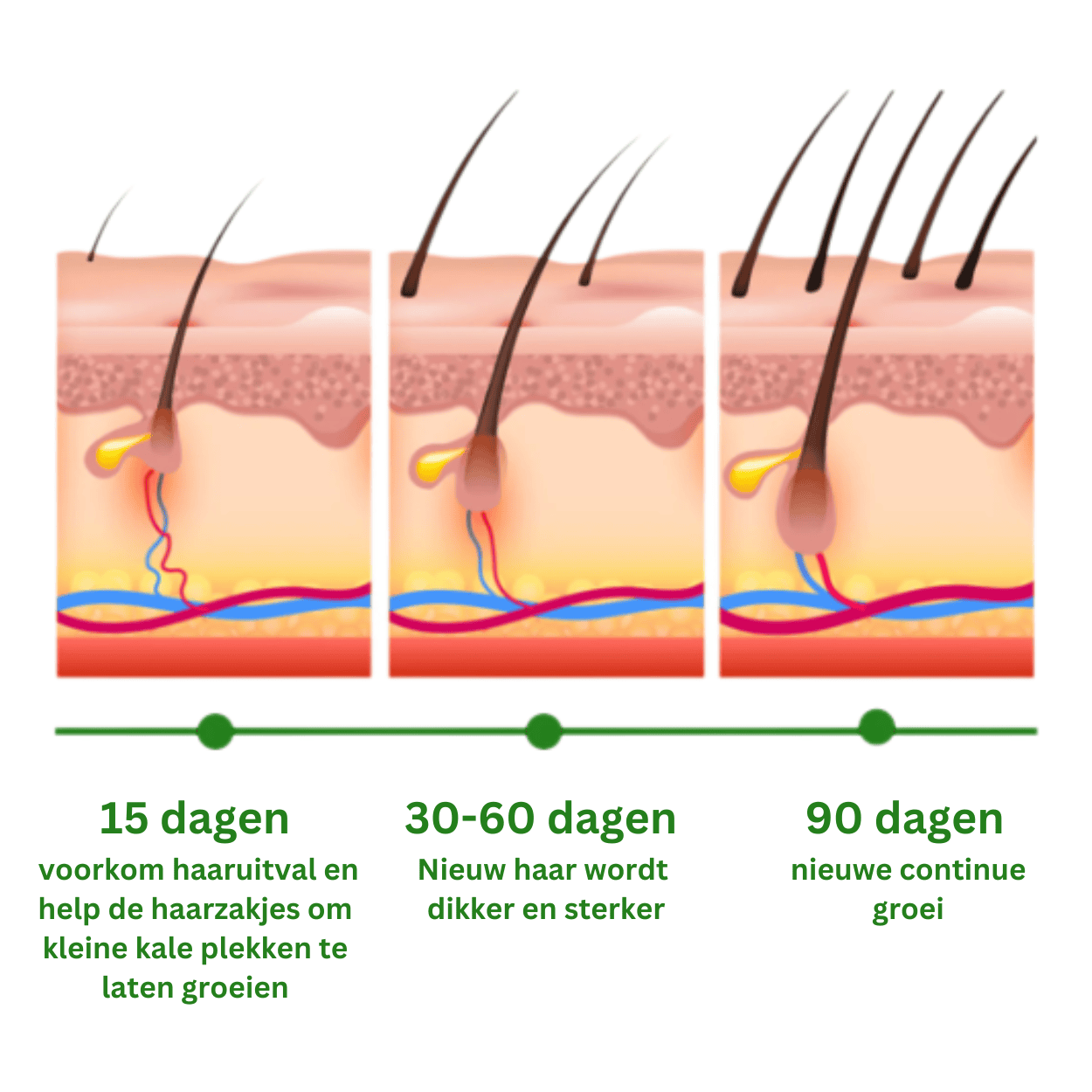 Rozemarijnolie™ | 'Hello again" Haargroei