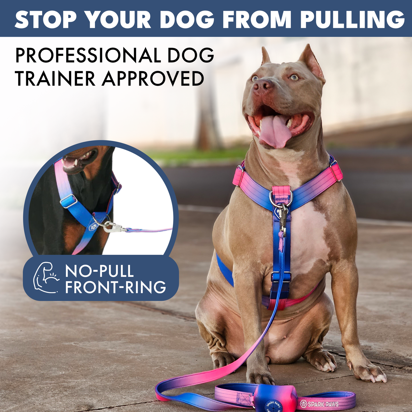 Comfort Control No-Pull Harness Sets