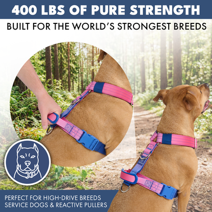 Comfort Control No-Pull Harness Sets