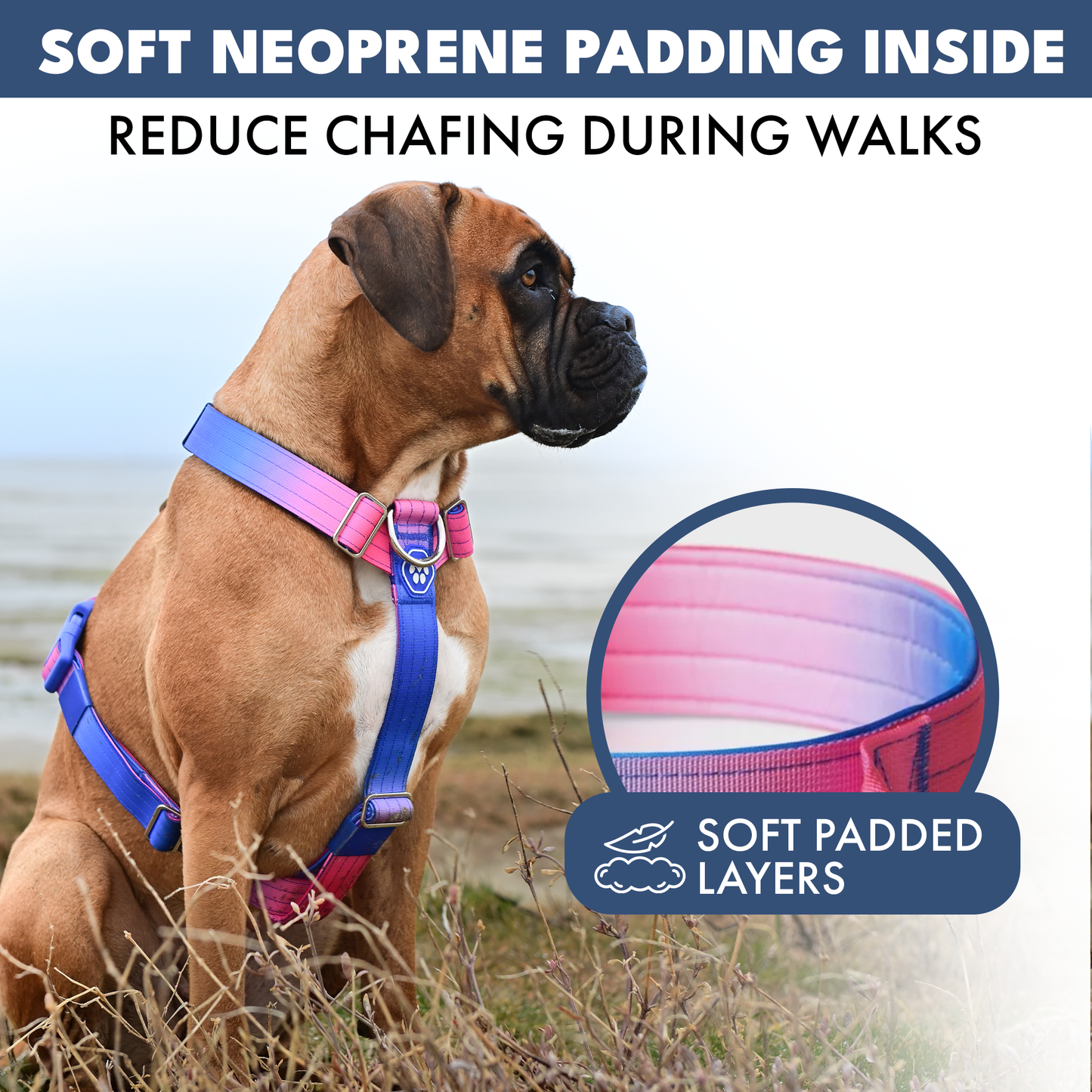 Comfort Control No-Pull Harness Sets