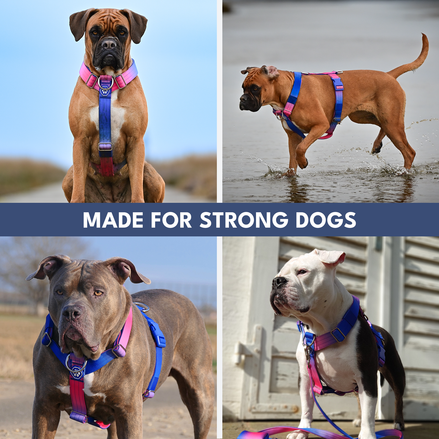 Comfort Control No-Pull Harness Sets