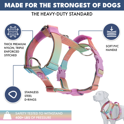 Comfort Control No-Pull Harness Sets
