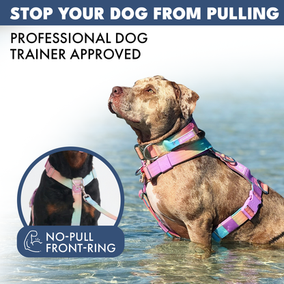 Comfort Control No-Pull Harness Sets