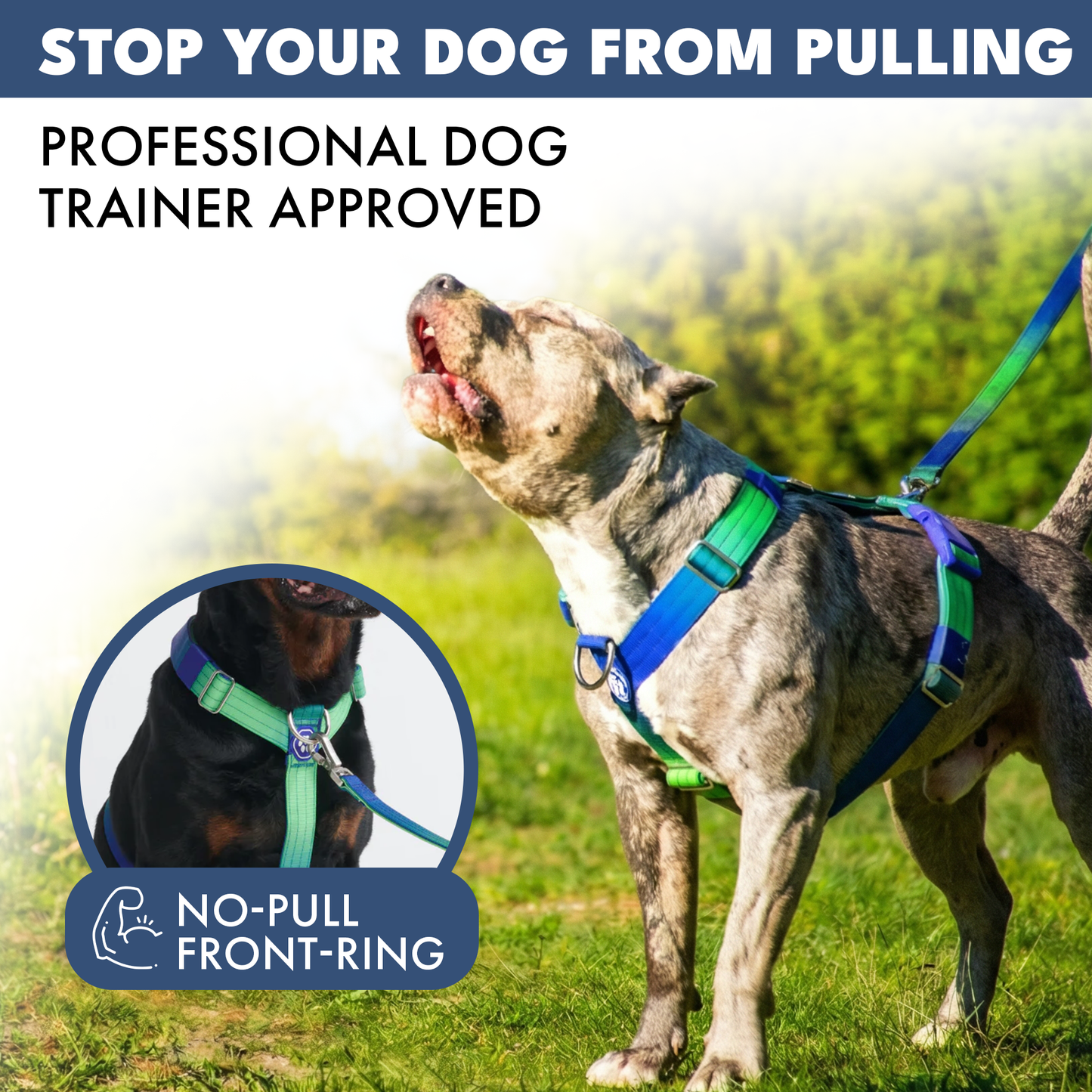 Comfort Control No-Pull Harness Sets