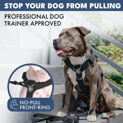 Comfort Control No-Pull Harness Sets