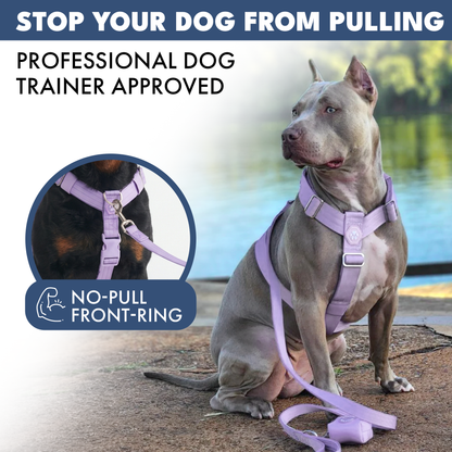 Comfort Control No-Pull Harness Sets