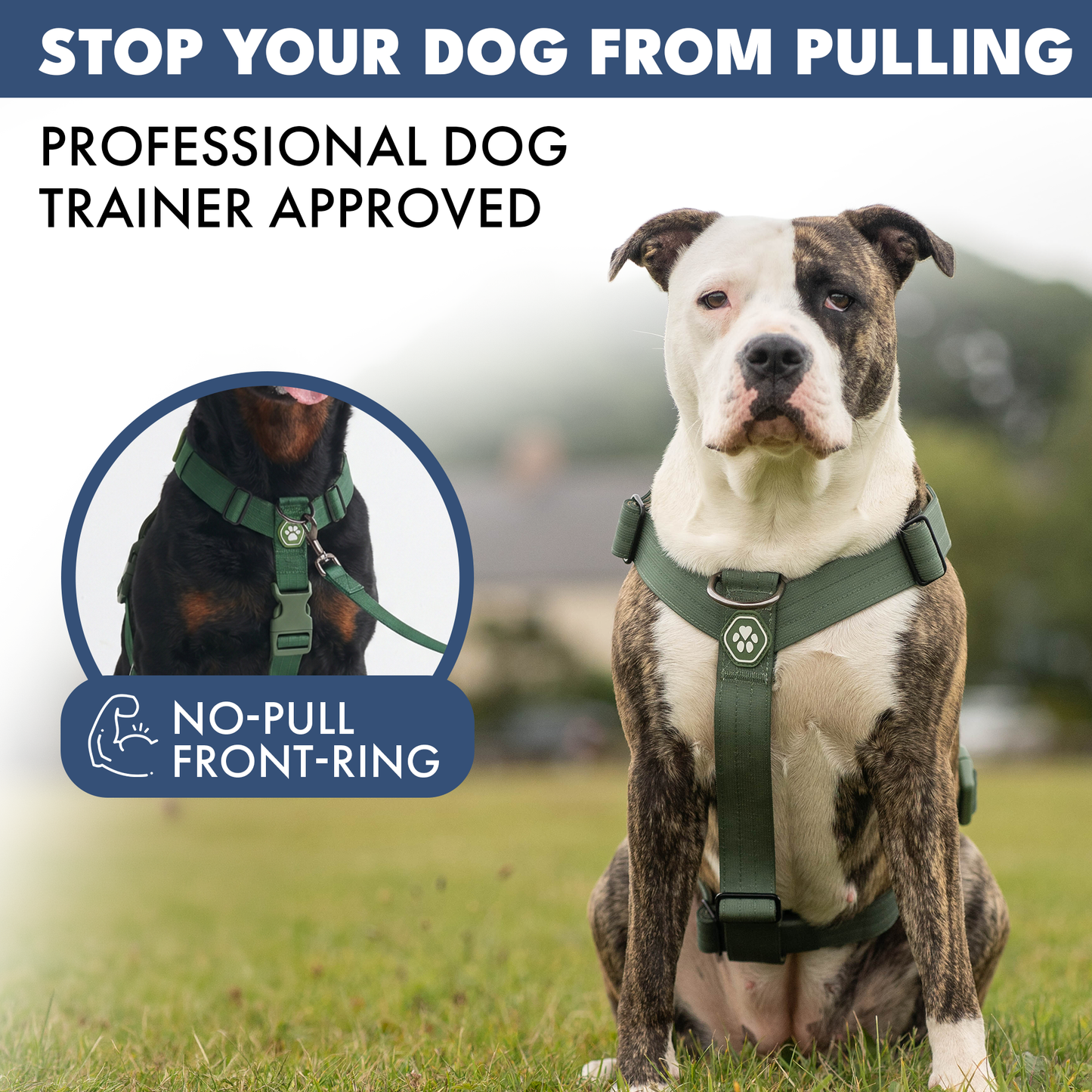 Comfort Control No-Pull Harness Sets