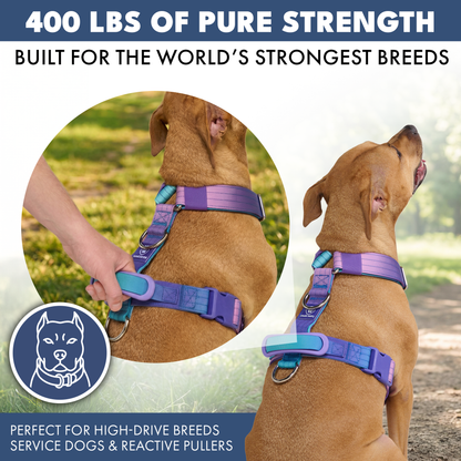 Comfort Control No-Pull Harness Sets
