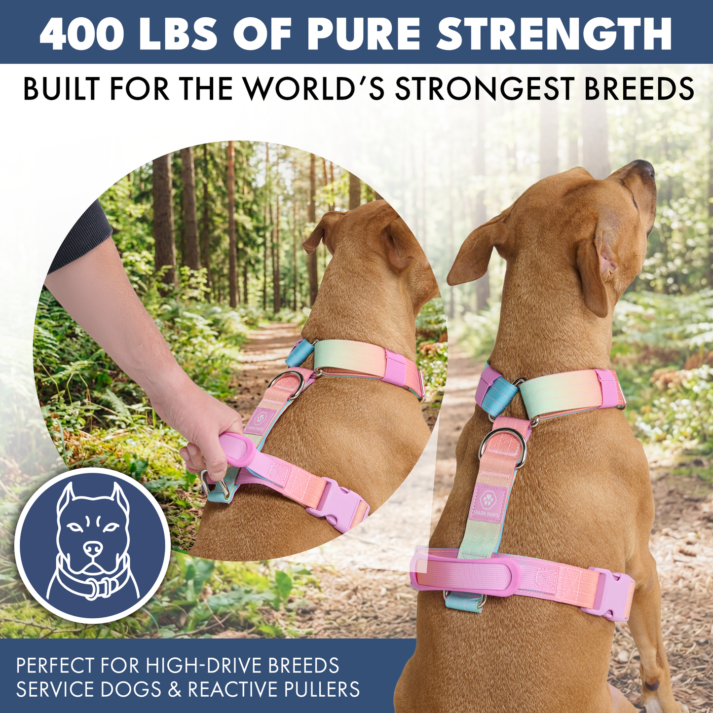 Comfort Control No-Pull Harness Sets