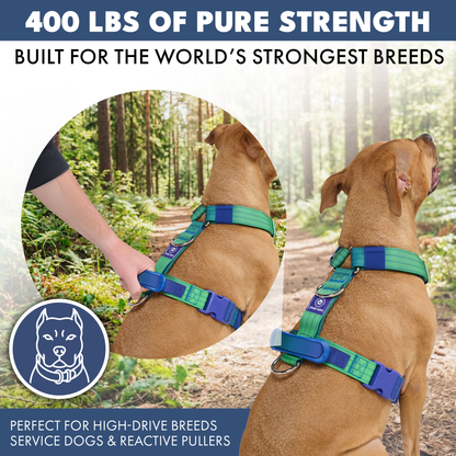 Comfort Control No-Pull Harness Sets