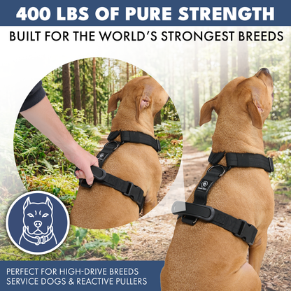Comfort Control No-Pull Harness Sets