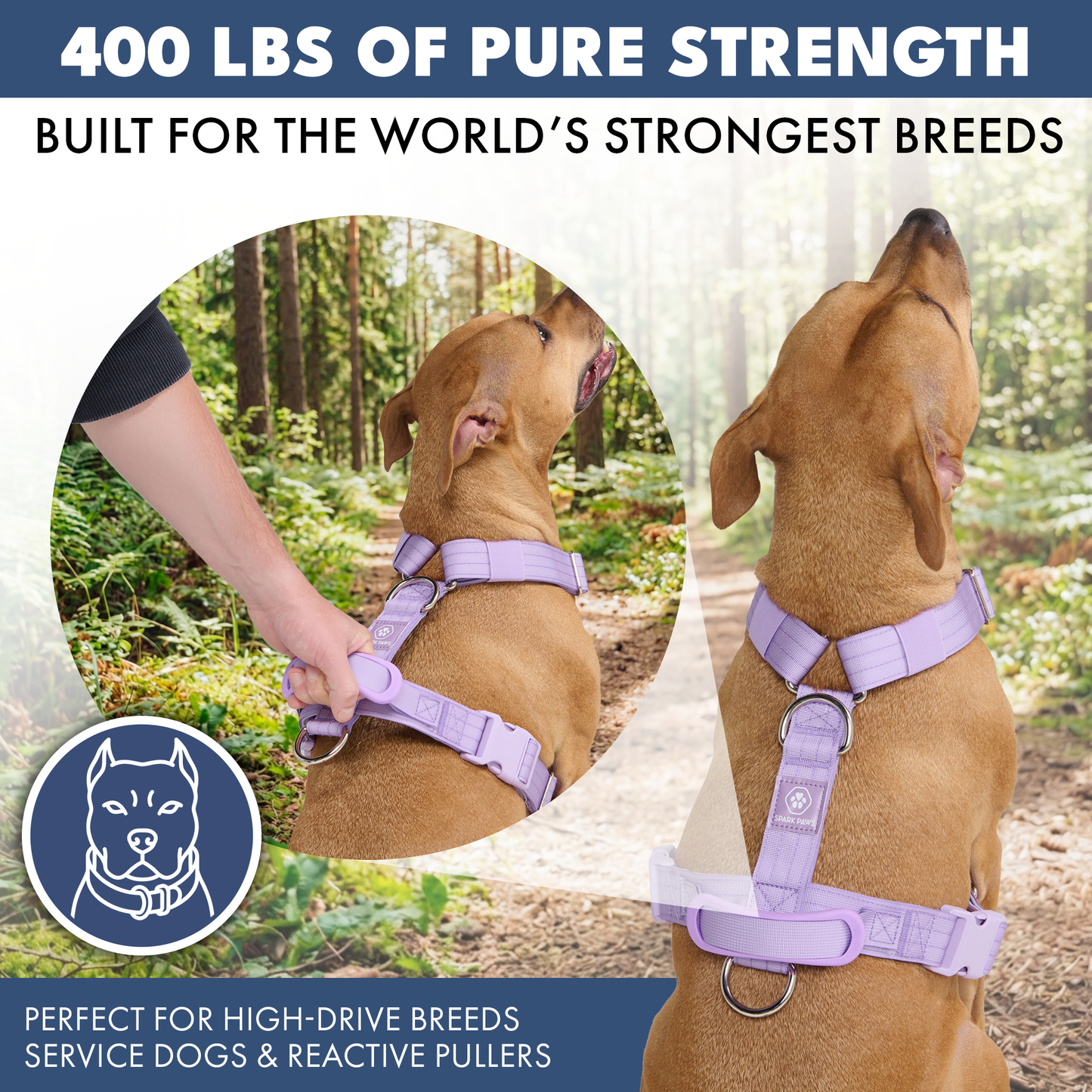Comfort Control No-Pull Harness Sets