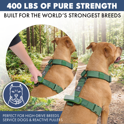 Comfort Control No-Pull Harness Sets