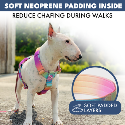 Comfort Control No-Pull Harness Sets