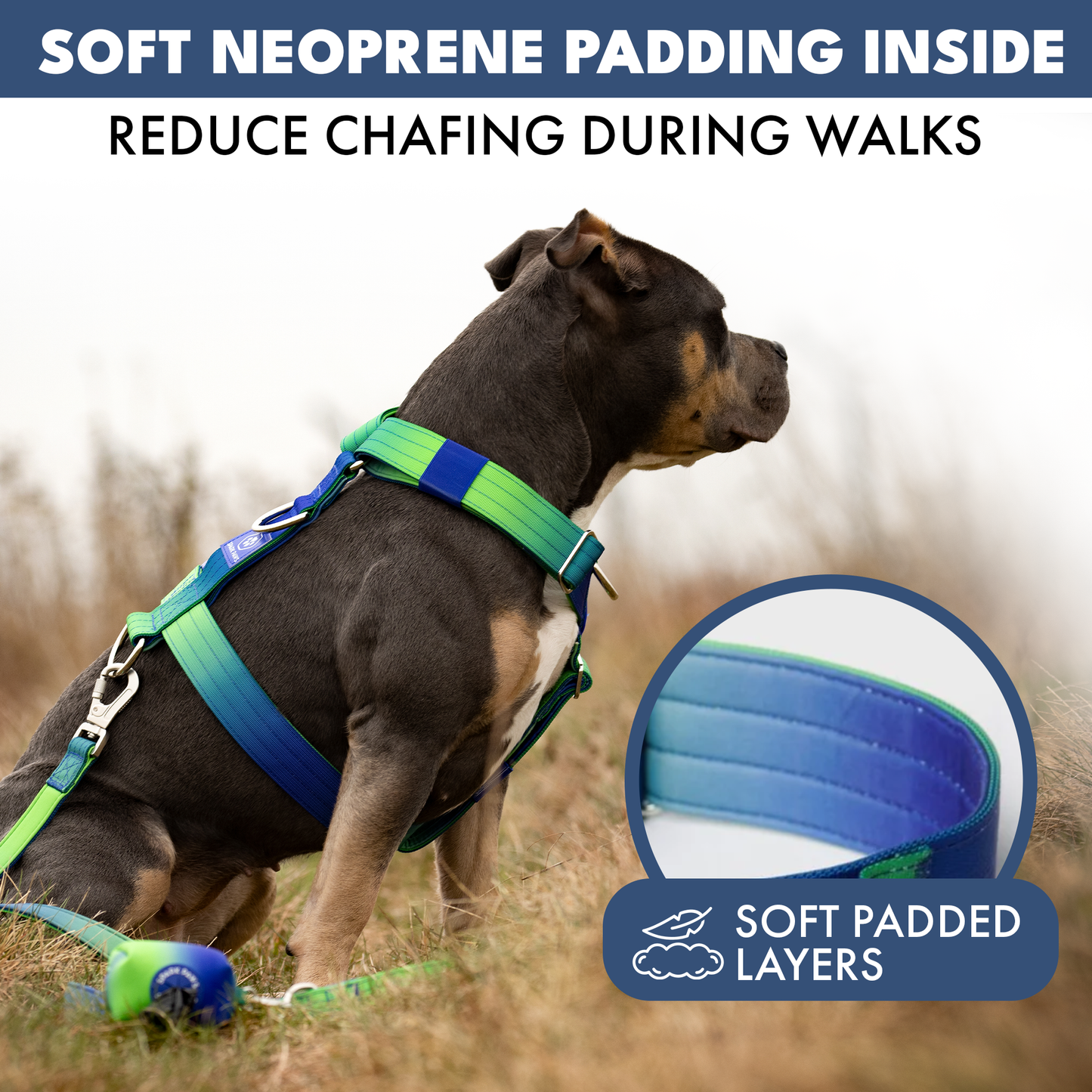 Comfort Control No-Pull Harness Sets