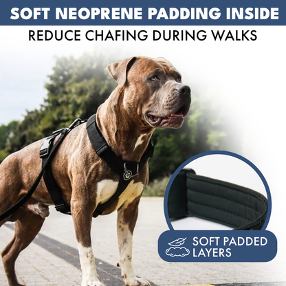 Comfort Control No-Pull Harness Sets