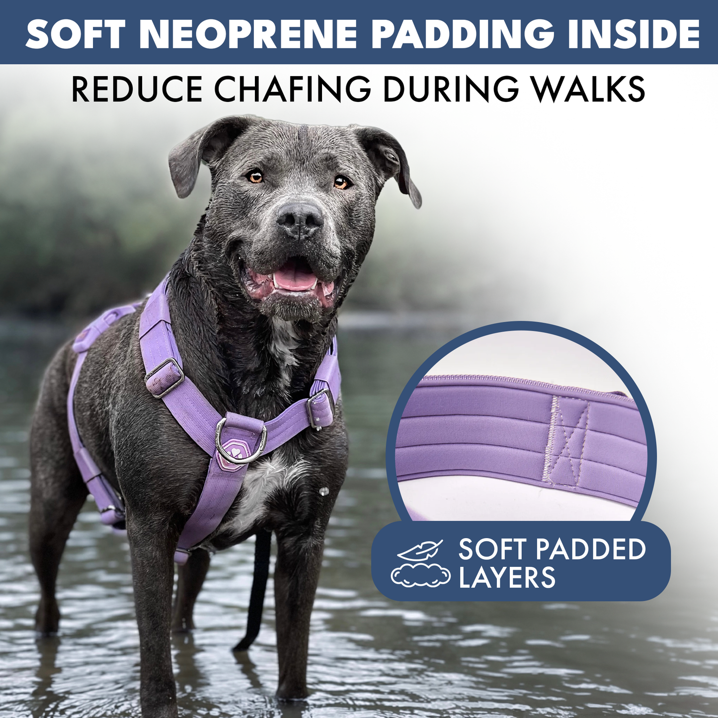 Comfort Control No-Pull Harness Sets