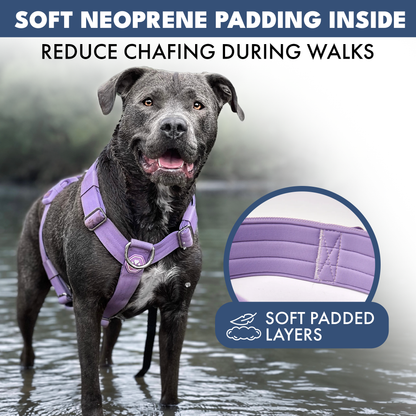 Comfort Control No-Pull Harness Sets