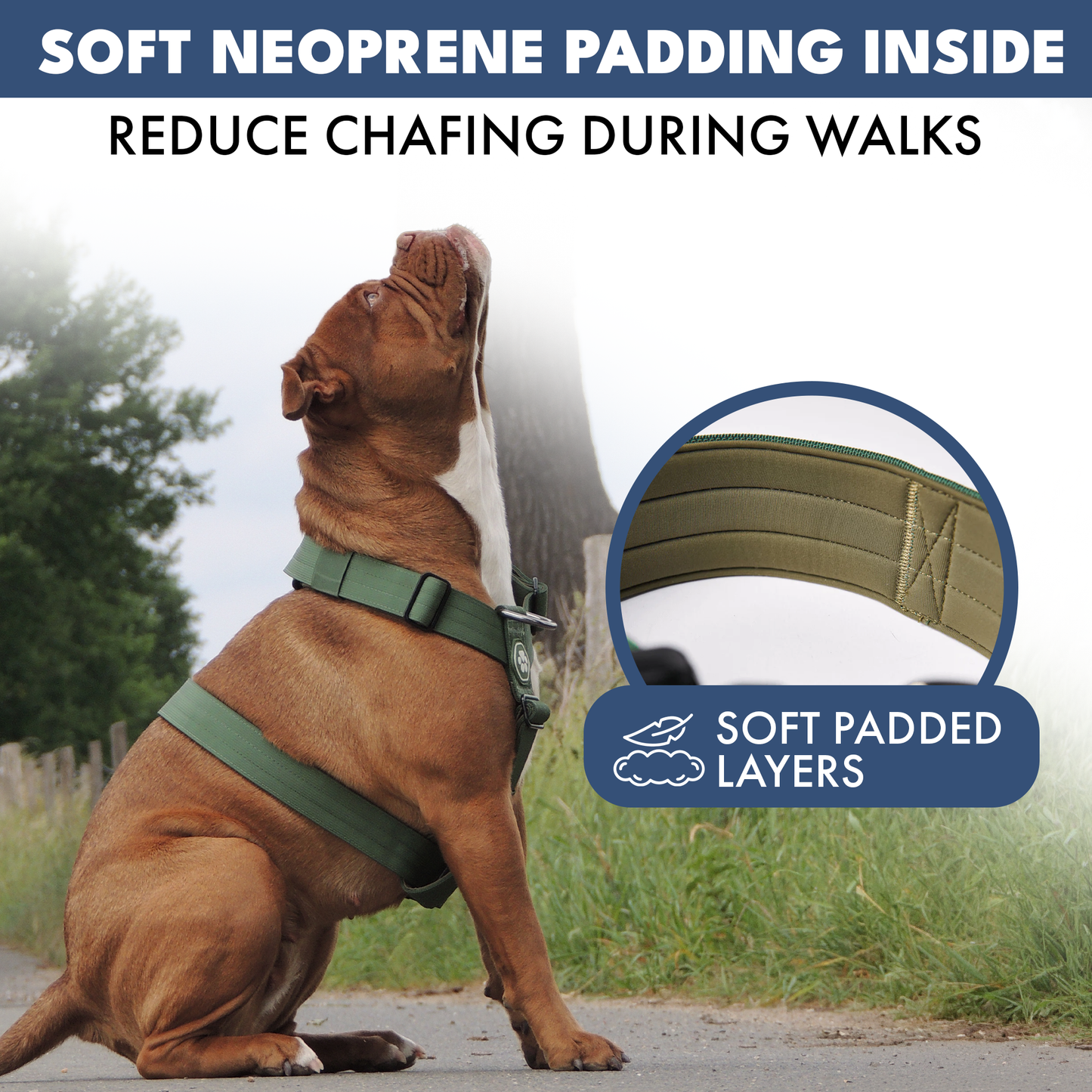Comfort Control No-Pull Harness Sets