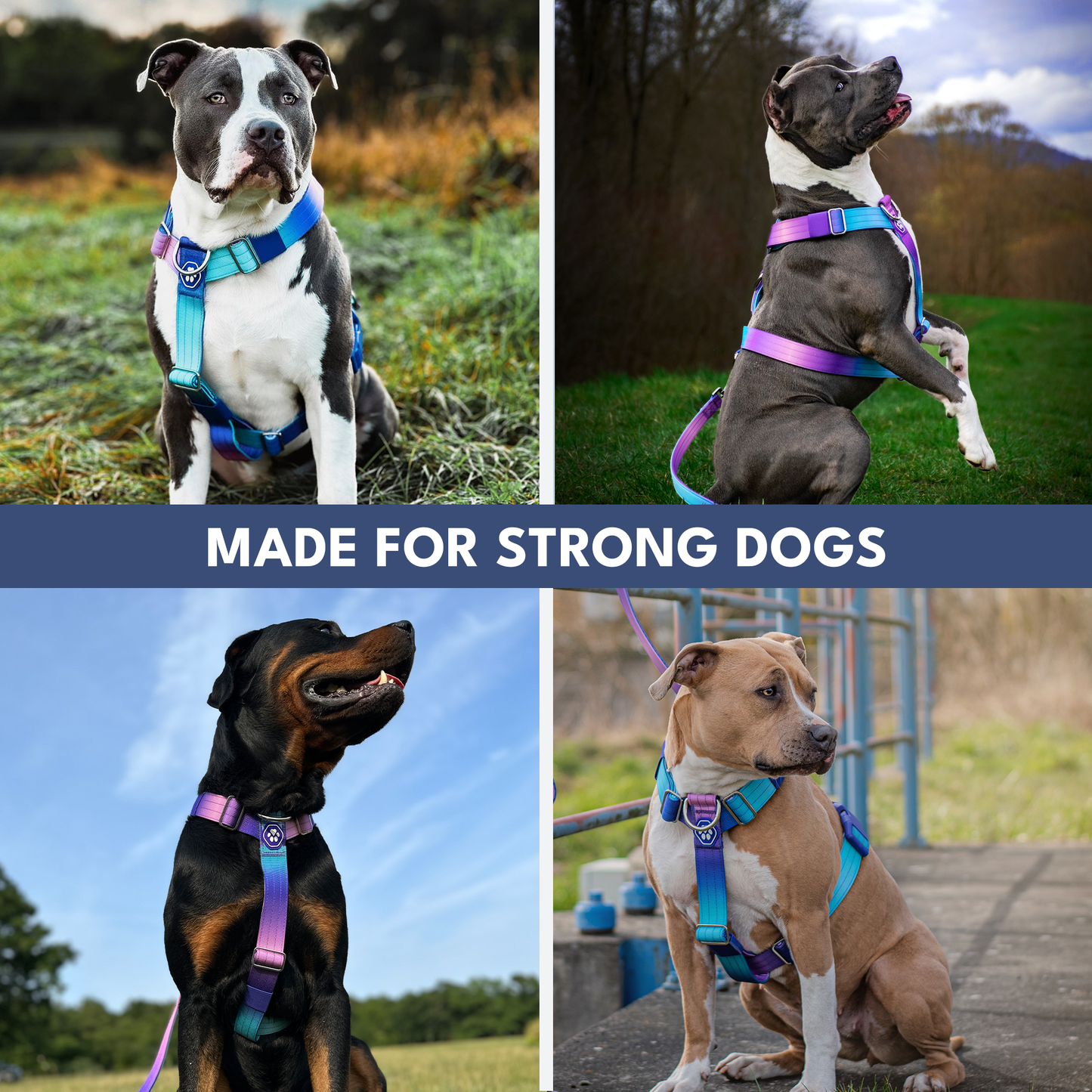 Comfort Control No-Pull Harness Sets
