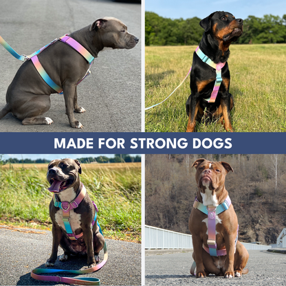 Comfort Control No-Pull Harness Sets
