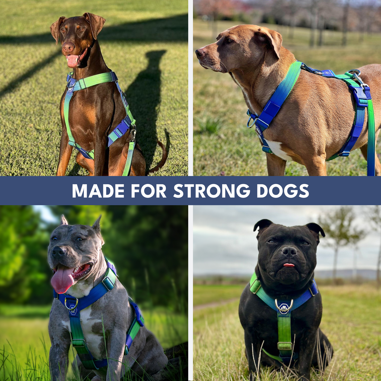 Comfort Control No-Pull Harness Sets