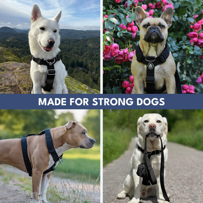 Comfort Control No-Pull Harness Sets