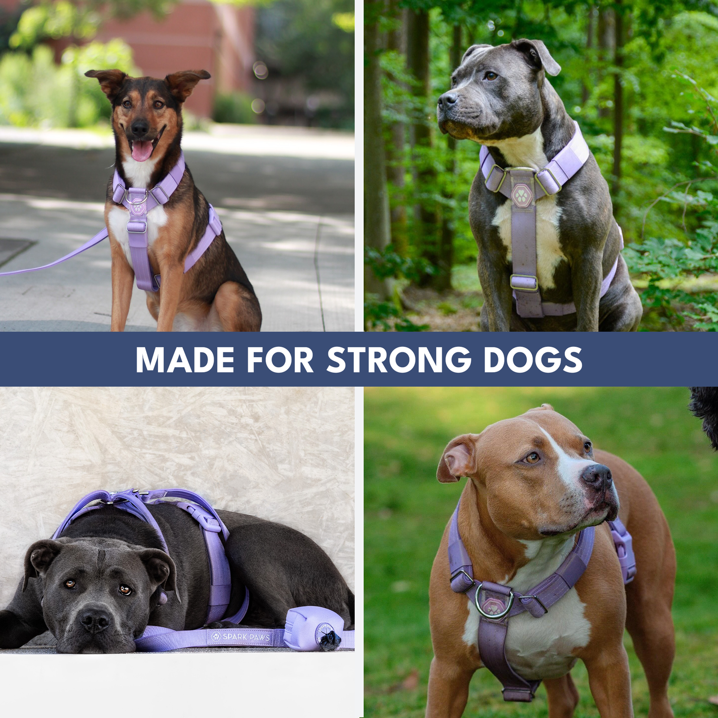 Comfort Control No-Pull Harness Sets