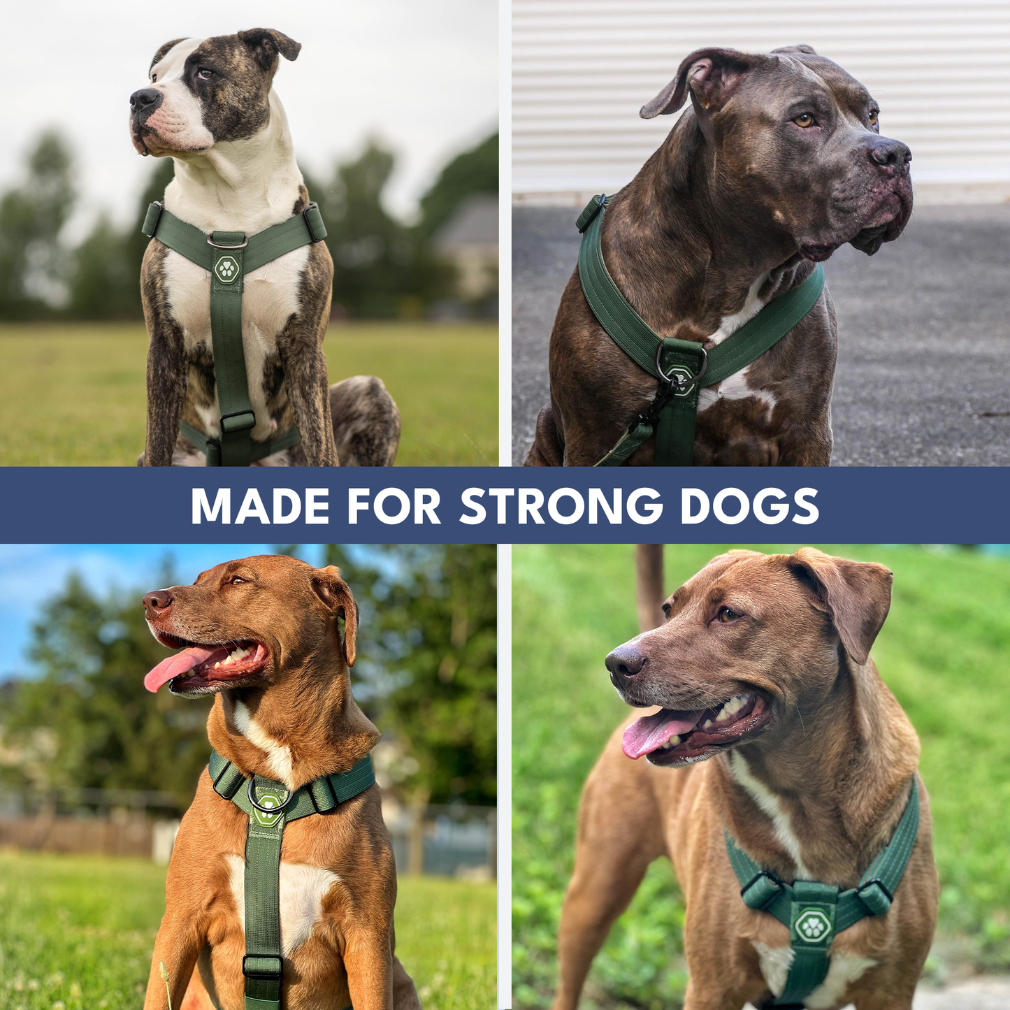 Comfort Control No-Pull Harness Sets