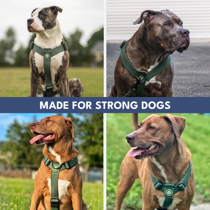 Comfort Control No-Pull Harness Sets