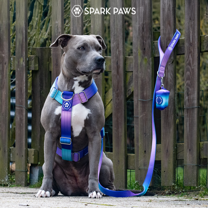Comfort Control No-Pull Harness Sets