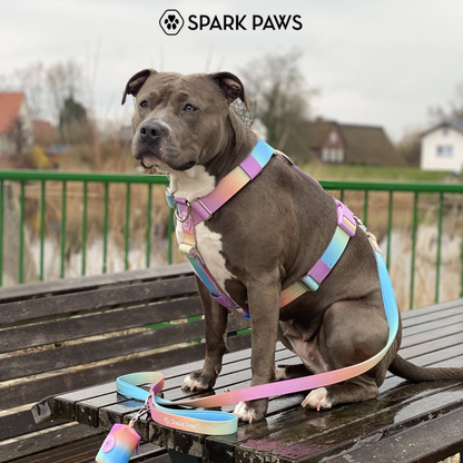 Comfort Control No-Pull Harness Sets