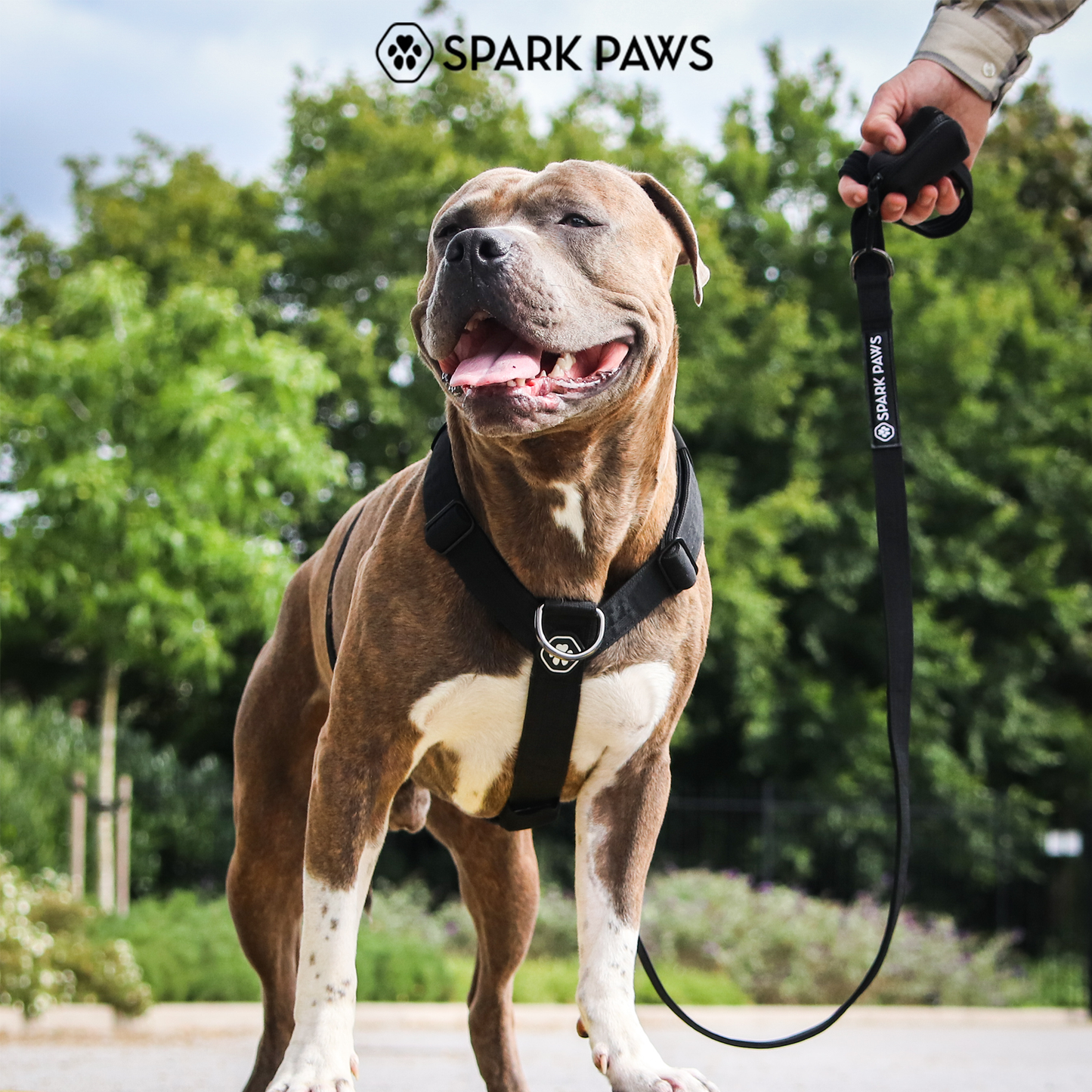Comfort Control No-Pull Harness Sets